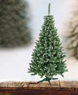 Vianočný stromček smrek natural 220cm