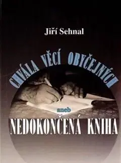 Chvála věcí obyčejných aneb Nedokončená kniha - Jiří Rajlich