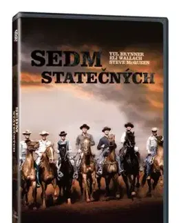 Sedm statečných DVD