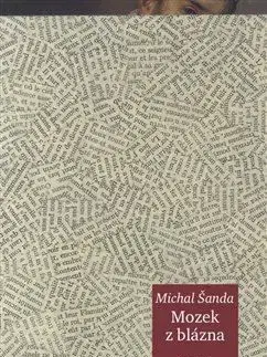 Mozek z blázna - Michal Šanda