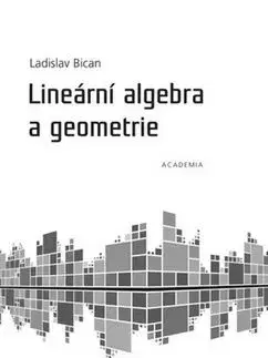 Lineární algebra a geometrie - Ladislav Bican