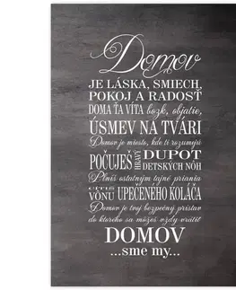 Obraz v ráme - Domov sme MY, v šedej