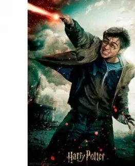 3D puzzle Harry Potter 300 dielikov
