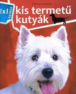 Kis termetű kutyák - 1x1 kalauz - István Bernáth