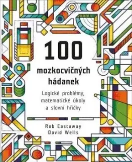 100 mozkocvičných hádanek - David Wells, Rob Eastaway