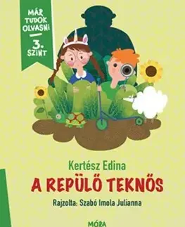 A repülő teknős - Edina Kertész