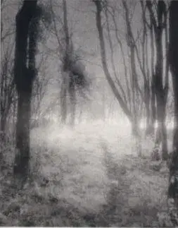 Ghost Stories - M. R. James