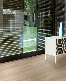 PARADOR Basic 30 Dub Infinity sivý svieži štruktúra 1730635