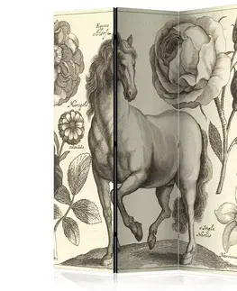 Paraván Horse Dekorhome