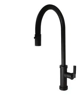 ALVEUS 1132179 - Drezová batéria s vyťahovacou sprškou NERINA 46,8 cm čierna 1132179