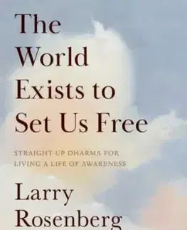 The World Exists to Set Us Free - Larry Rosenberg, Madeline Drexler