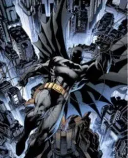 Absolute All-Star Batman And Robin, The Boy Wonder - Frank Miller