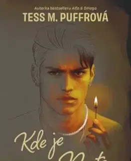Kde je Nate - Tess M. Puffrová