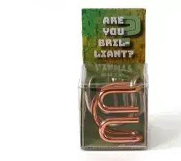 RecentToys Are you Brilliant - RecentToys 