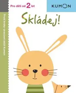 Skládej! - Pro děti od 2 let - Toshihiko Karakida