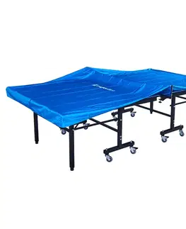 inSPORTline Celtero 285x165x10 cm