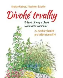 Divoké trvalky - Brigitte Kleinod, Friedhelm Strickler