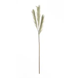 Dekoria Pampová tráva 110cm green, 2 x 2 x 110 cm