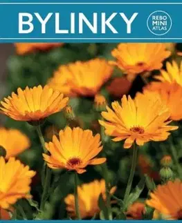 Bylinky - miniatlas