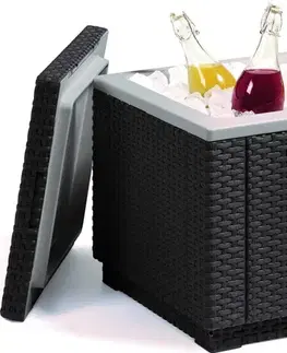 KETER Záhradná taburetka s chladničkou FROST CUBE | grafit