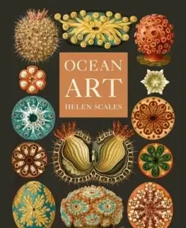 Ocean Art - Helen Scales