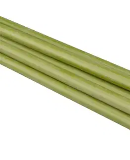 EXTOL CRAFT Tyč oporná sklolaminátová, výška 195cm, priemer 12mm, 10ks, EXTOL CRAFT