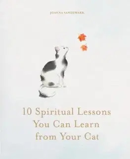 10 Spiritual Lessons You Can Learn from Your Cat - Joanna Sandsmark