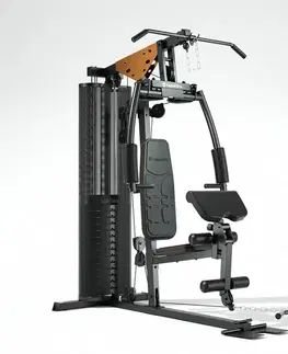 inSPORTline ProfiGym C45