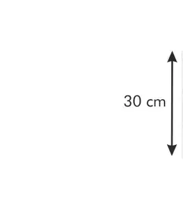 Tescoma zásobník FlexiSPACE 296x148 mm