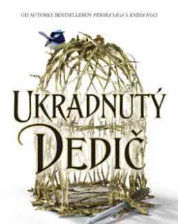 Ukradnutý dedič 1 - Holly Black