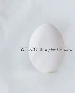 Wilco - A Ghost Is Born: 20th Anniversary (Limited Hardcover Book Box) 9CD - Wilco