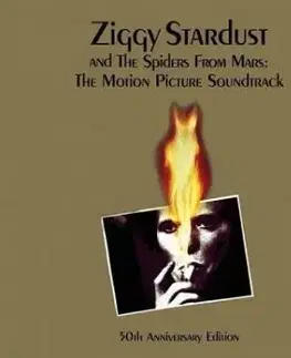 Bowie David - Ziggy Stardust and the Spiders from Mars: Live (2026 Reissue) 2LP - David Bowie