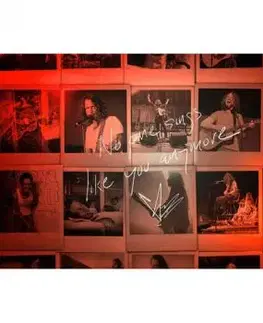Cornell Chris - No One Sings Like You Anymore CD - Chris Cornell