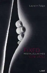 Megtalállak még - Fixed on you - Laurelin Paigeová