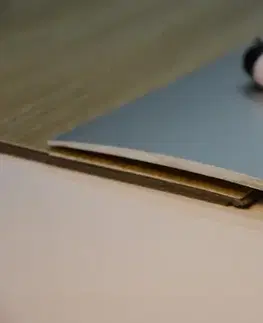 Prechodový profil 120 mm, oblý (skrutkovací) | nivelácia 0 - 10 mm Stříbro E01