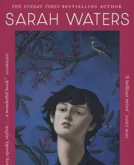 The Little Stranger - Sarah Watersová