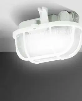 Stropné svietidlo 90046 oválne IP54 60W biele