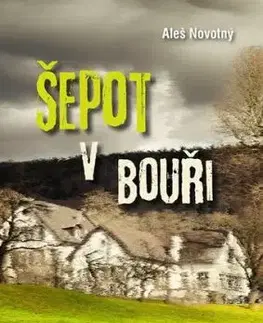Šepot v bouři - Aleš Novotný