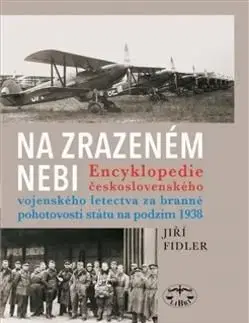 Na zrazeném nebi - Jiří Fidler