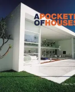 A pocketful of houses - Robyn Beaver