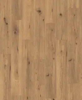 EGGER Aquadura Dub divoký prírodný EDF200