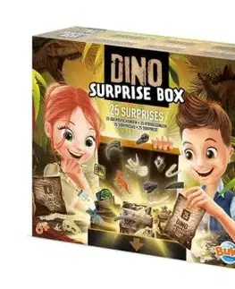 Dino box 25 vrecúšok s prekvapením - Buki