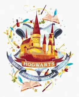 Maľovanie podľa čísel Harry Potter: Maľovaný Rokfort 40x50cm Zuty - ZUTY