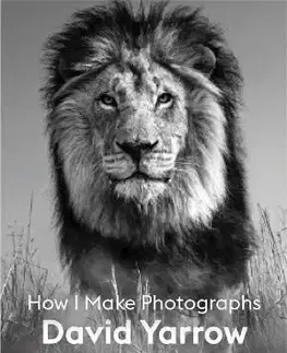 David Yarrow - David Yarrow