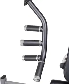 inSPORTline Profigym C400