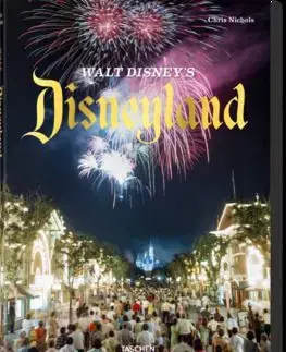 Disneyland - Chris Nichols