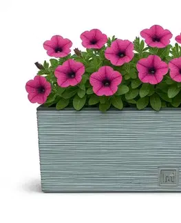 ProsperPlast Kvetináč FURU CASE | betón 39,5 cm