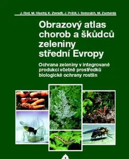 Obrazový atlas chorob a škůdců zeleniny střední Evropy - Miroslav Hluchý