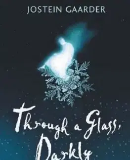 TROUGH A GLASS DARKLY - Jostein Gaarder