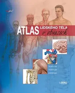 Atlas lidského těla v obrazech